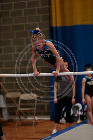 _60_9917