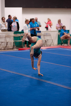 _06I1455