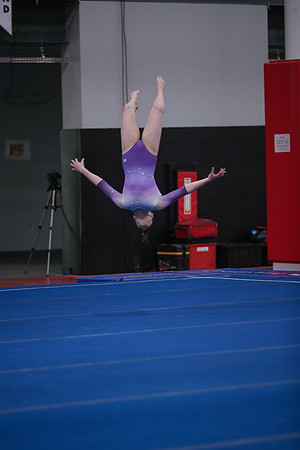 JMS_6782-5