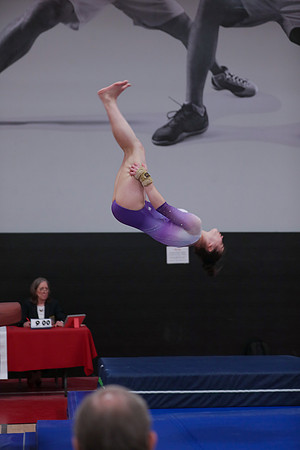 JMS_8226
