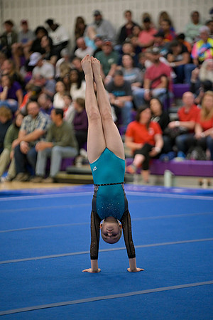 DSC_1576