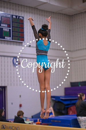 DSC_1337