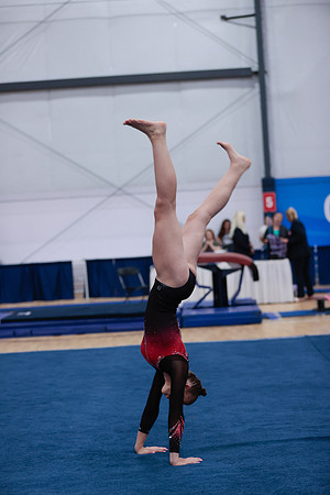_06I1513