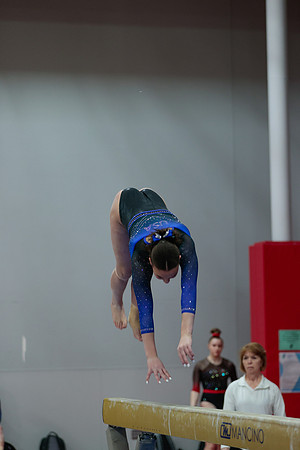 _3B_2528