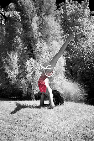 Suzanne Rebbin - Infrared 8 - Chris Aldous Photography