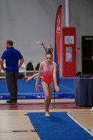 Kadence N