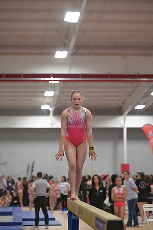 DSC_0157