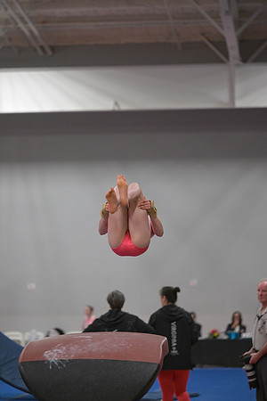 DSC_0226