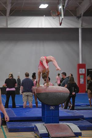 DSC_0019 (2)
