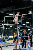 _13g5196