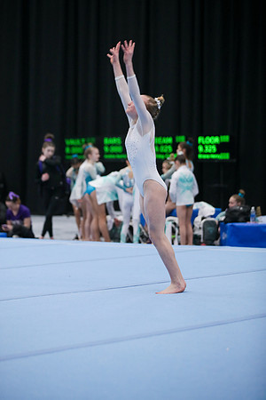 JMS_3961