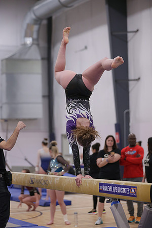 JMS_4522