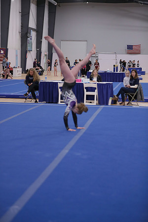 JMS_5268