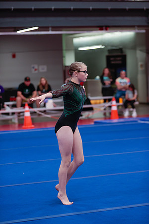 _06I3139