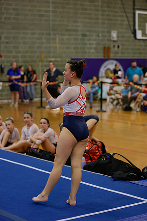 _ALD0133
