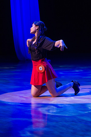 A13G0393