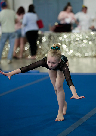 _61_0431