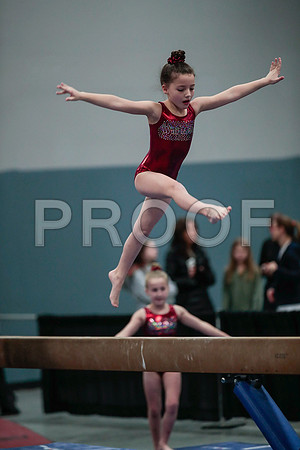 _61_3137