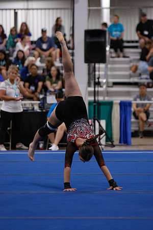 _29A0115