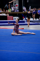 Delaney P
