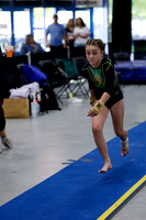 Emersyn B