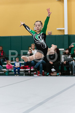 _60_2818