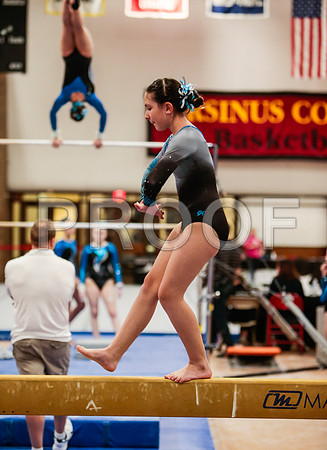 _81_0754