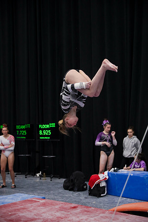 JMS_6590