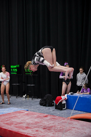 JMS_6591