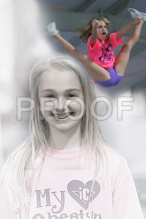 fly 2