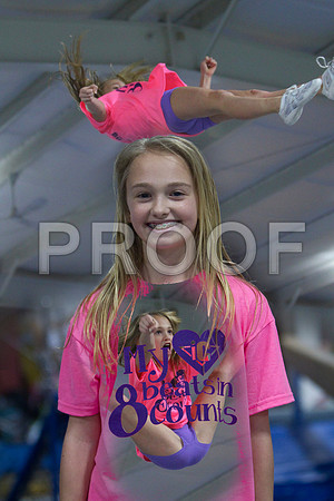 Fly