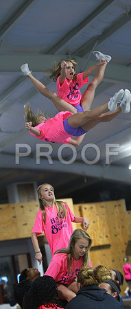Tri Town Fly