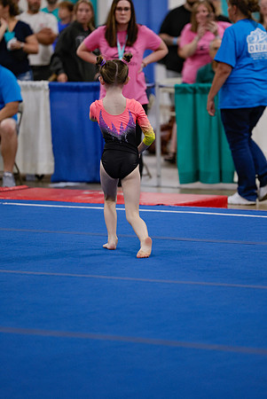 _MS_0042 (2)
