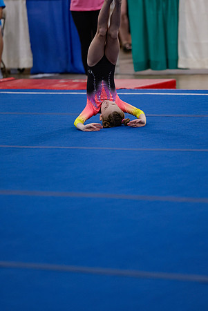 _MS_0030 (2)