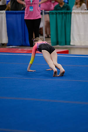 _MS_0036 (2)