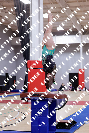 _99A0010