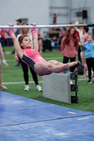 Adelyn H