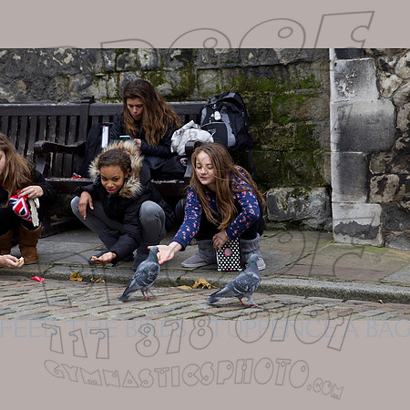 Feed the Birds - Chris Aldous Photography
