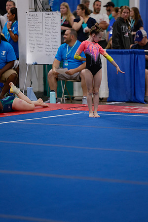 _MS_0013 (2)