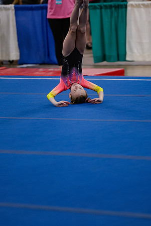_MS_0031 (2)