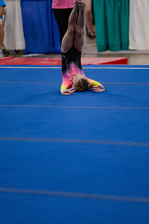 _MS_0029 (2)