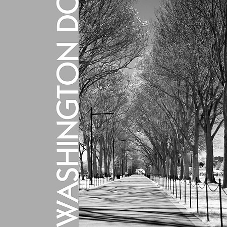 Washington DC walk   - Chris Aldous photography