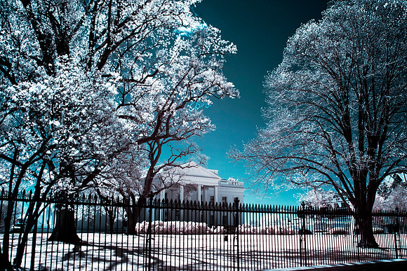 White House - Chris Aldous photography