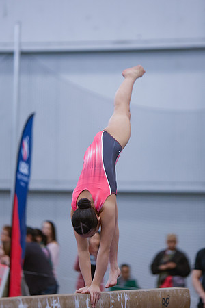 _29A0015 (2)