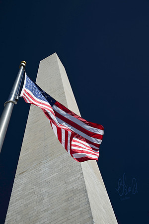 Washington Monument  - Chris Aldous Photography