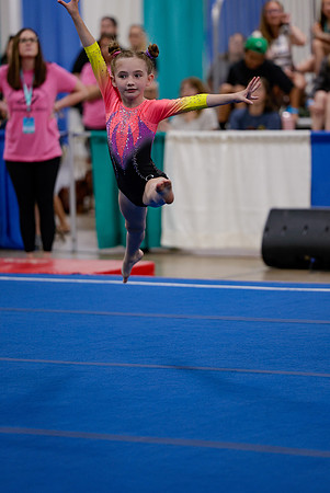 _MS_0056 (2)