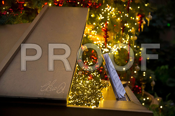 Longwood Christmas - Chris Aldous Photography