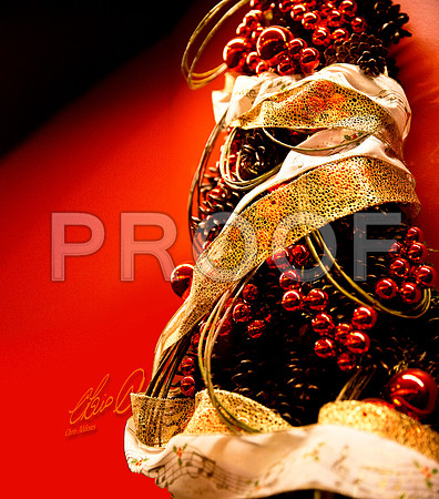 Longwood Christmas 2 - Chris Aldous Photography