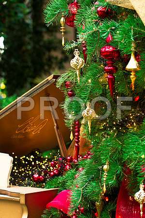 Longwood Christmas 6 - Chris Aldous Photography