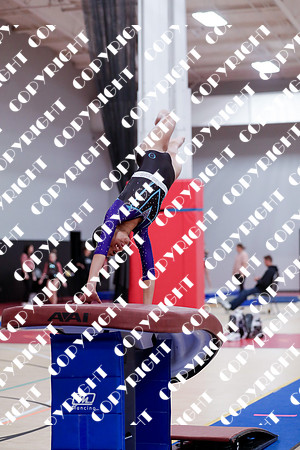 _G1I0011